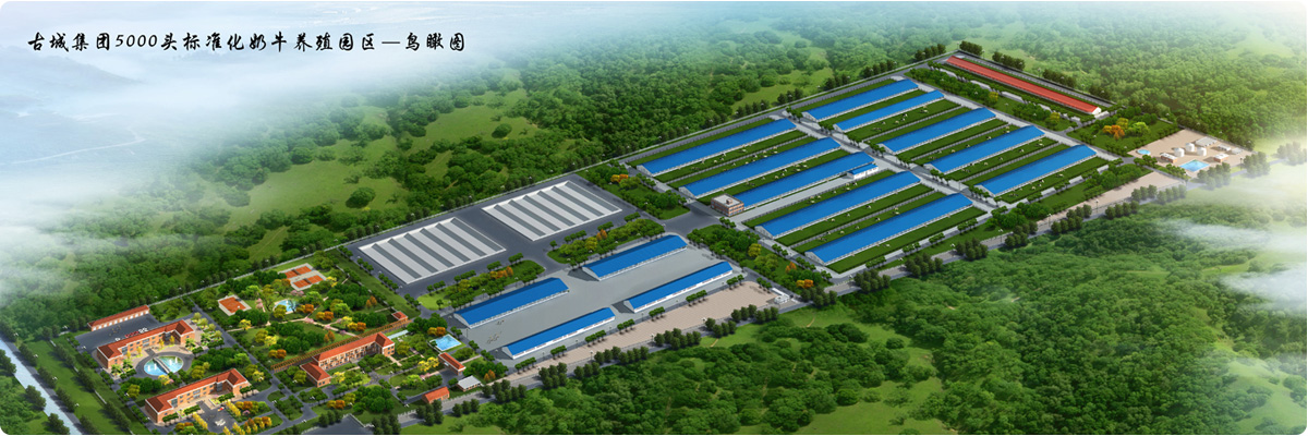 1542833137137176.jpg 3f32fae5-8960-44dd-a0fa-85dfee89a811.jpg